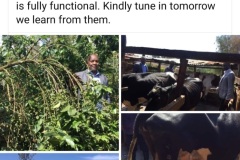 mugambo-wa-murimi-inooro-fm