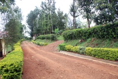 towards-offices-and-classrooms