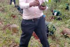 tree-planting-exercise-1