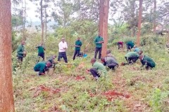 tree-planting-exercise