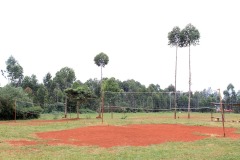 volleyball-field